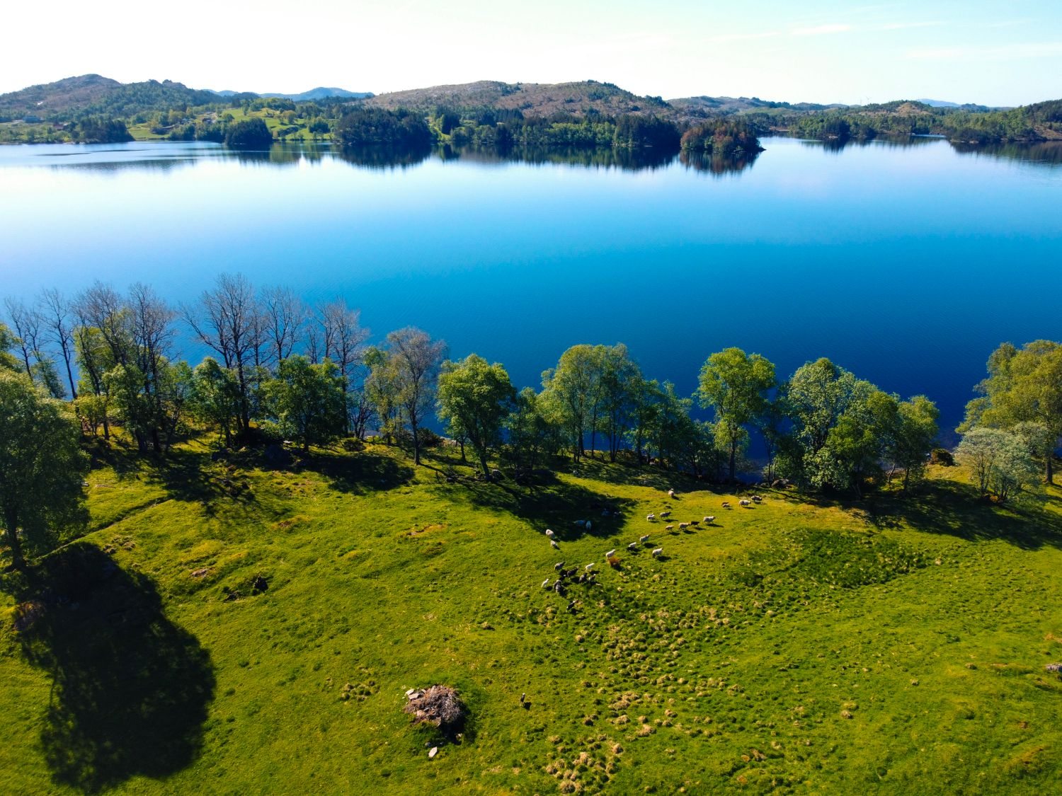 Dronefoto av innsjø og sau — norsk natur fra lufta